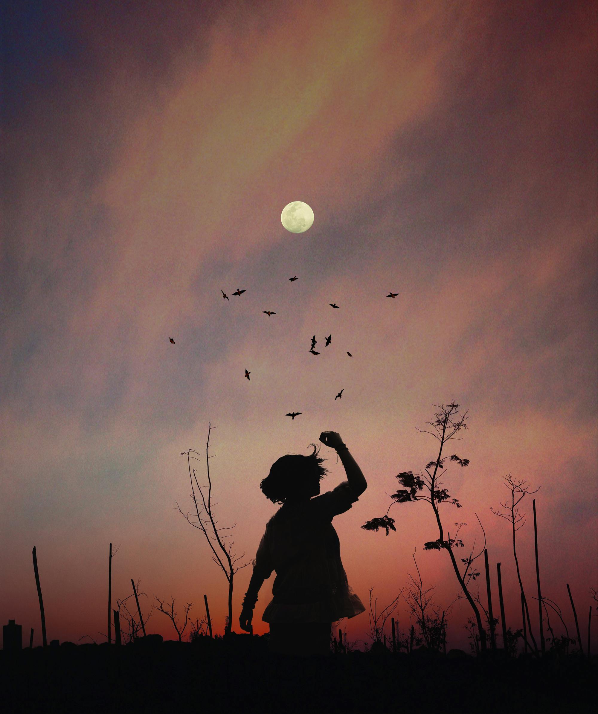 A captivating silhouette of a person at twilight with birds flocking against a colorful sky.